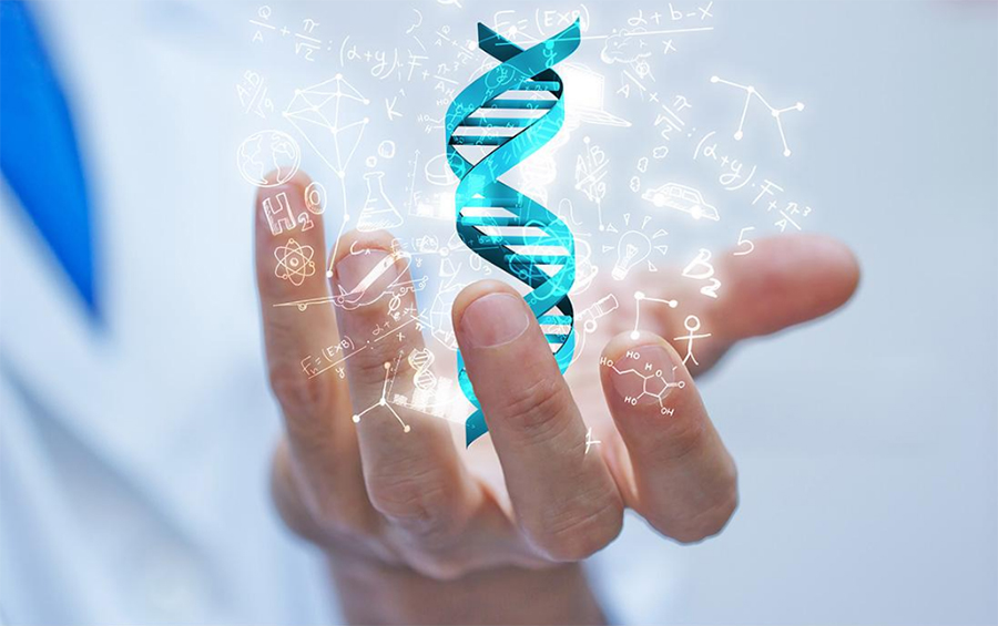 成都哪个医院能做亲子鉴定,成都医院办理DNA鉴定需要什么材料和流程