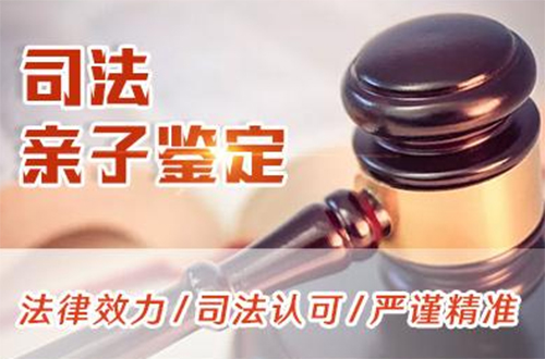 成都司法DNA亲子鉴定哪里能做,成都司法亲子鉴定结果需要多久